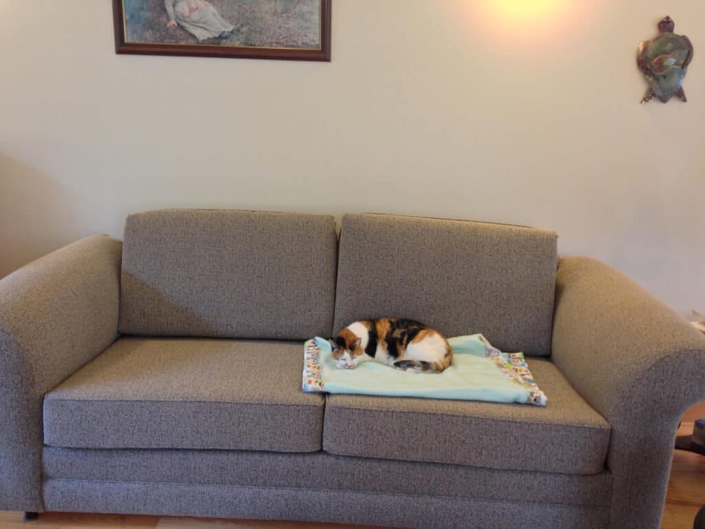 Calico cat sleeping on grey couch.